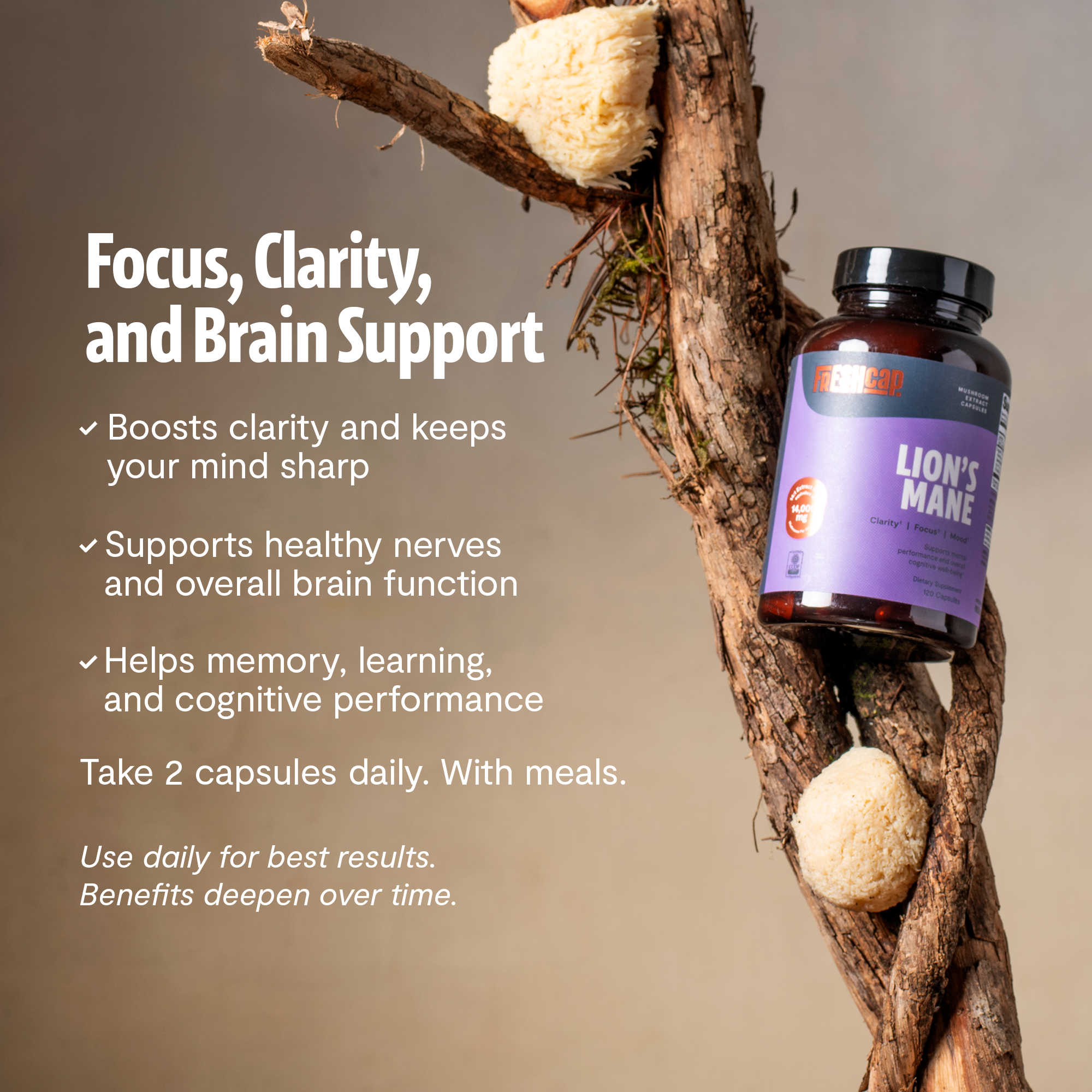 Organic Lion’s Mane Capsules